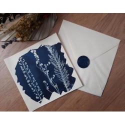 Carte blanche carrée cyanotype