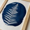 Cadre Cyanotype fougère