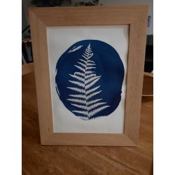 Atelier cyanotype